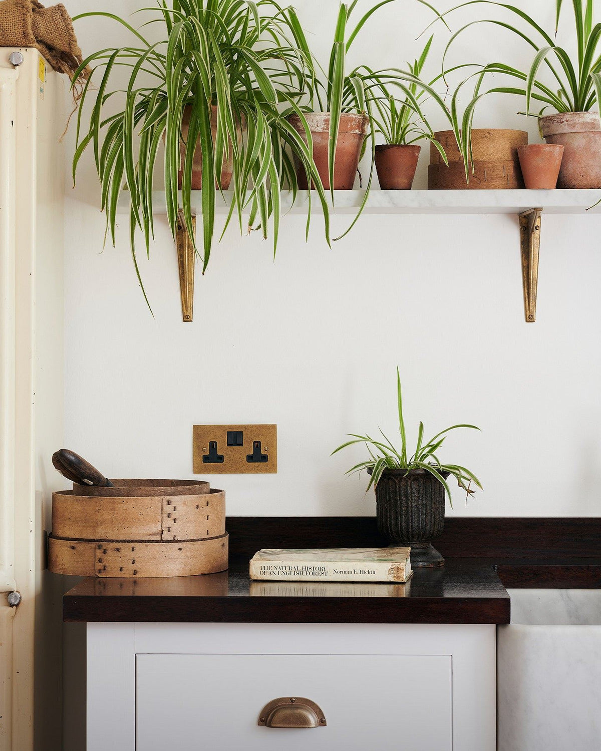 A close-up view of a classic 13 amp twin plug socket in a mottled aged brass finish on a white wall above a dark hardwood worktop. Lush spider plants in small terracotta pots hang down from a shelf above. TEST