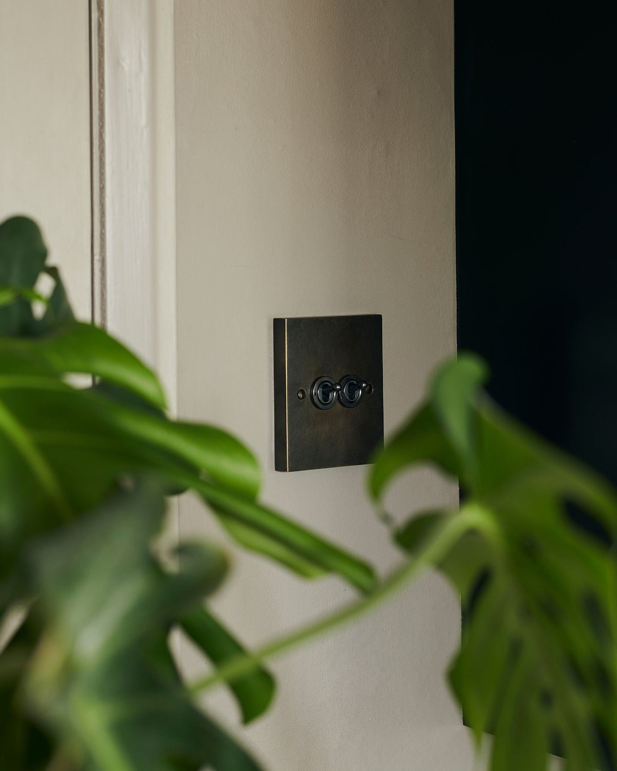 An oblique view of a 2 gang box toggle switch in a dark oxidised brass finish on a grey wall with a large green monstera leaves in the foreground. | Oxidised Brass 2 Gang shown TEST