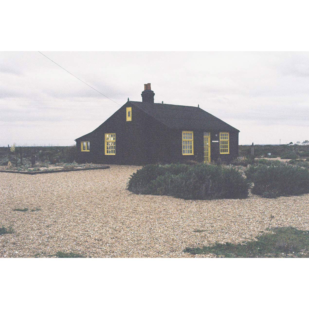 Dungeness