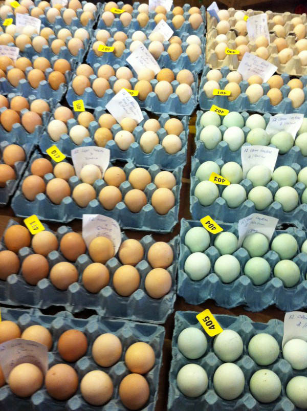 dozens of eggs
