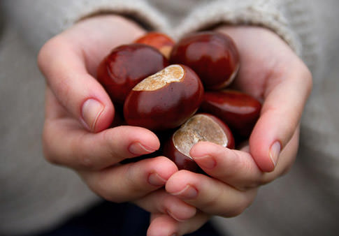 5 Reasons to Fall in Love with Autumn