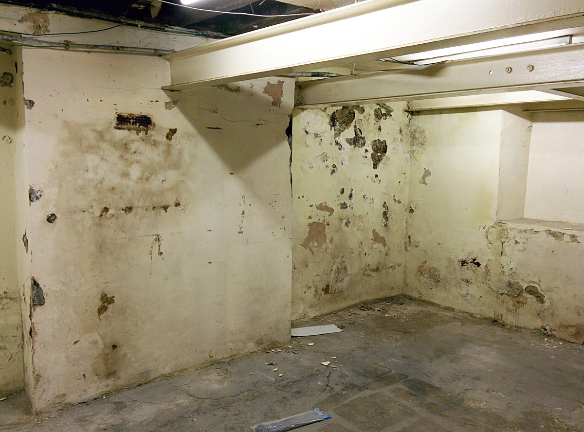 Basement-Plaster-1