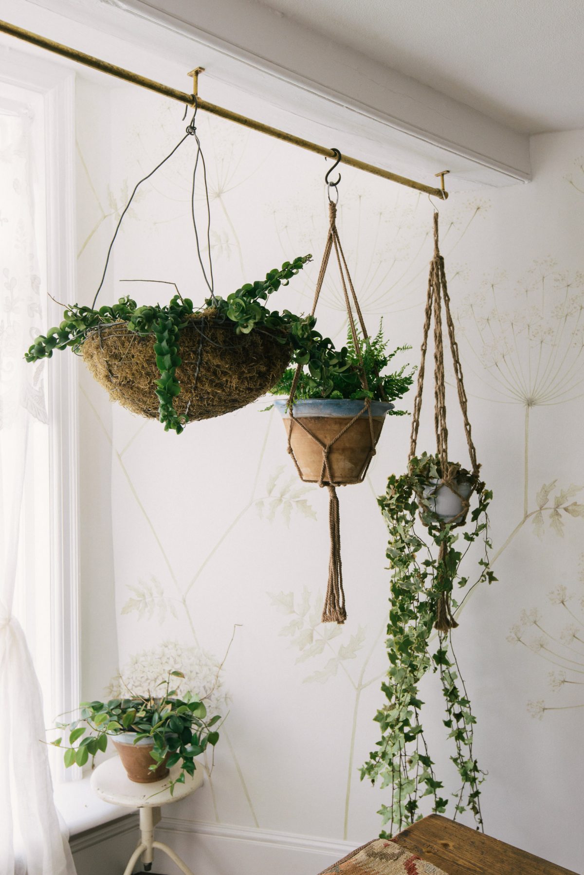 Gorgeous hanging baskets mixing well with the watercolours.