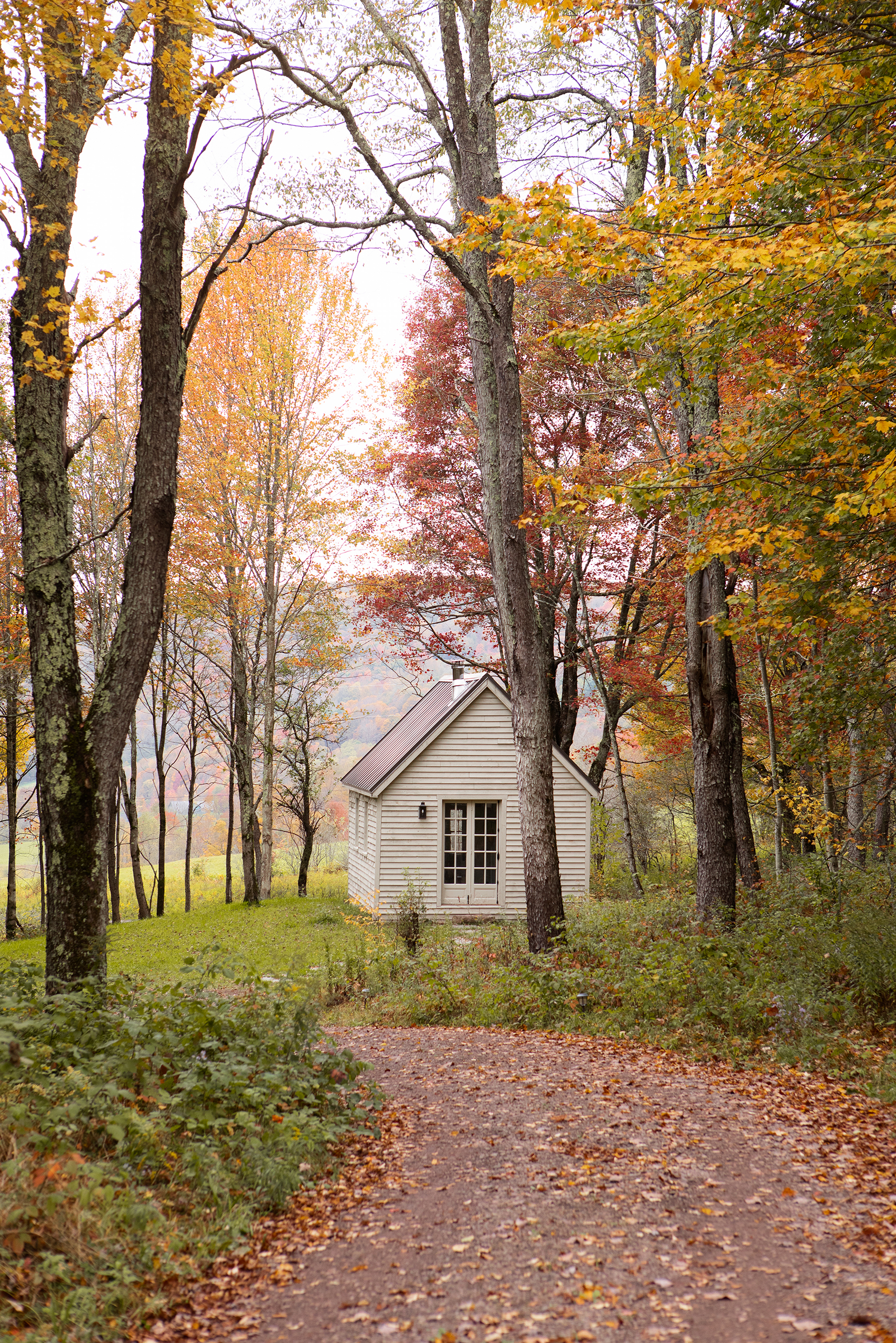 A photo of a white-boarded cottage nestled in an area of woodland, the trees have yellow and red leaves indicating it was taken during autumn. A long path leads down to the building.