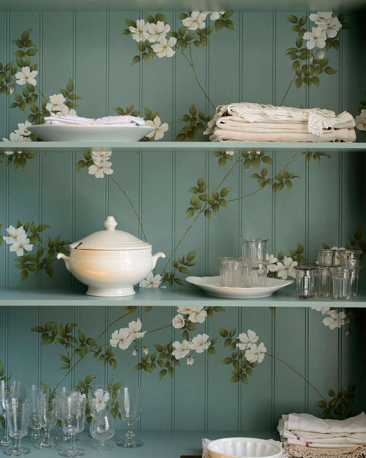 Rambling Wild Roses TEST