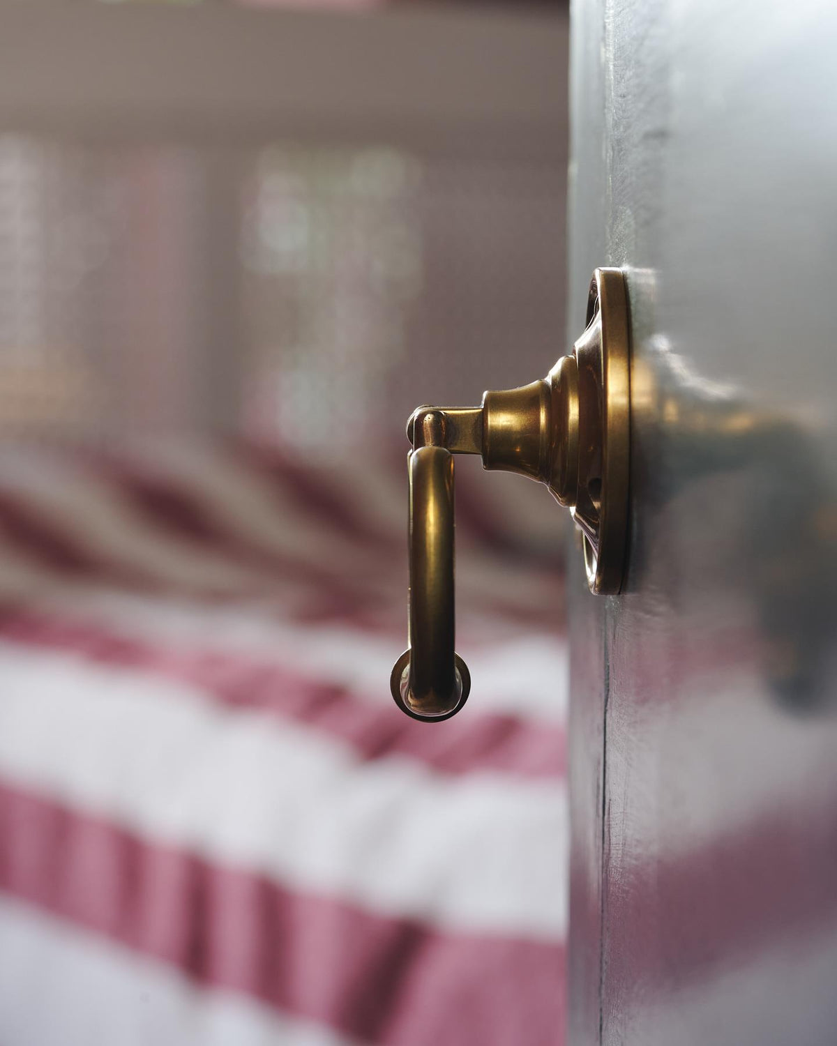 The Eglantine Drop Handle with Romilly Backplate TEST