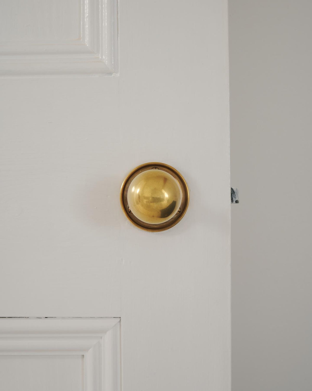 |Romilly Backplate shown TEST