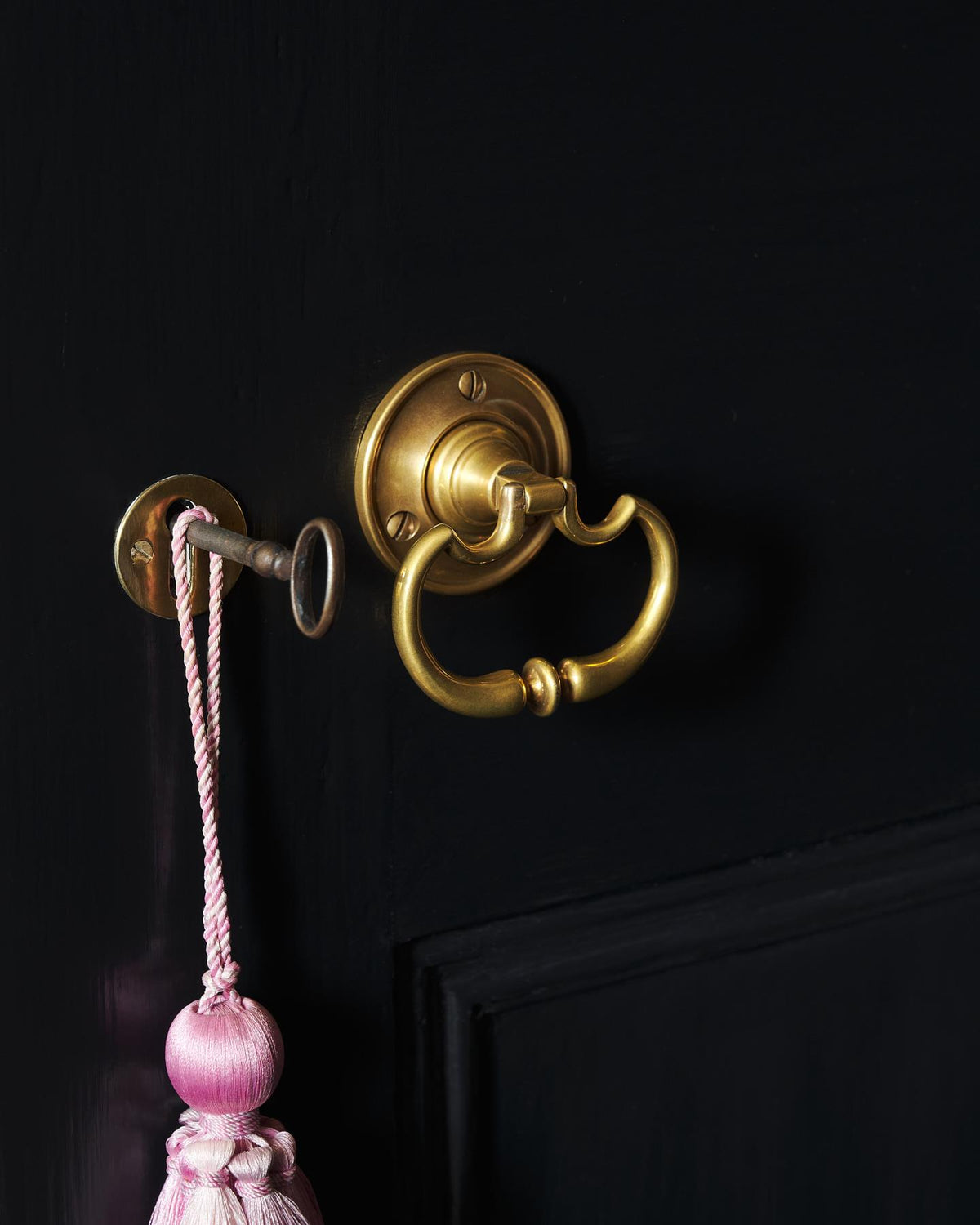 The Eglantine Drop Handle with Romilly Backplate TEST