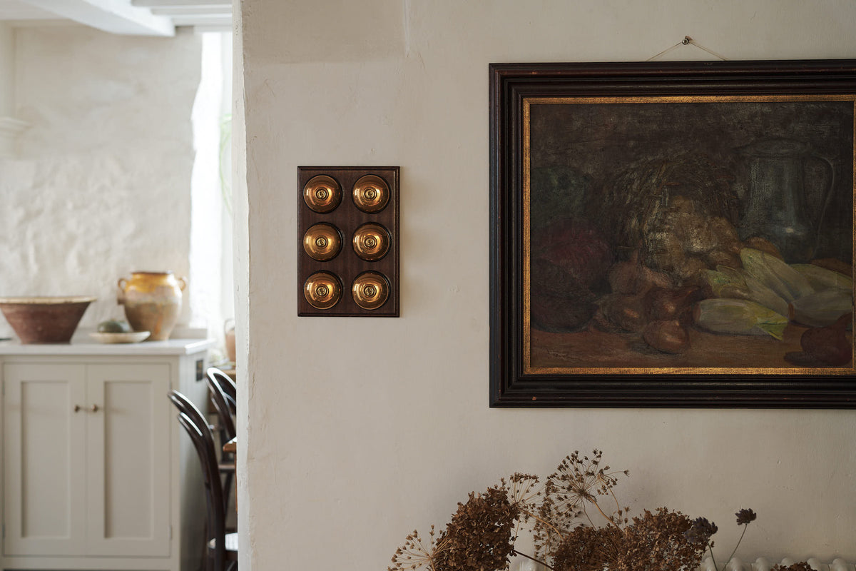 Six deVOL Dolly Toggle Switches fitted to a rich, polished Sapele pattress. The individual switches are finished in deVOL's Heirloom Brass finish, a warm, golden toned brass.