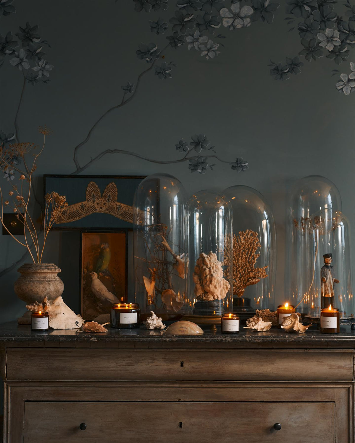 A medium scented candle in a brown glass jar with a black lid, in a vintage cupboard alongside other scented candles. TEST