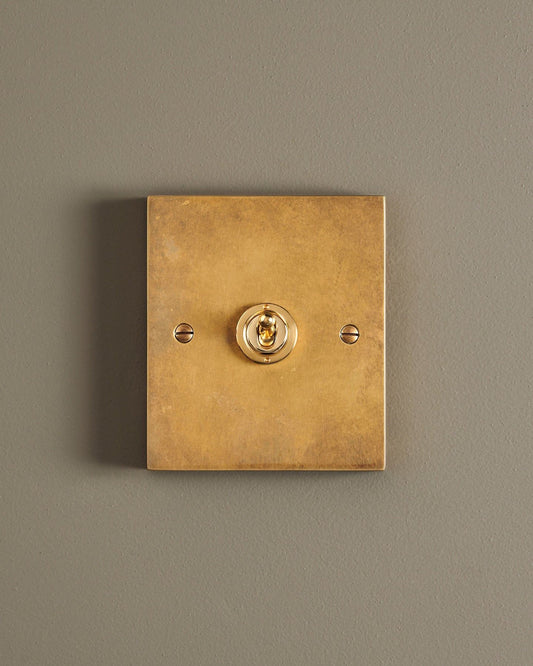 A straight-on view of a 1 gang box toggle switch in a warm burnished brass finish.