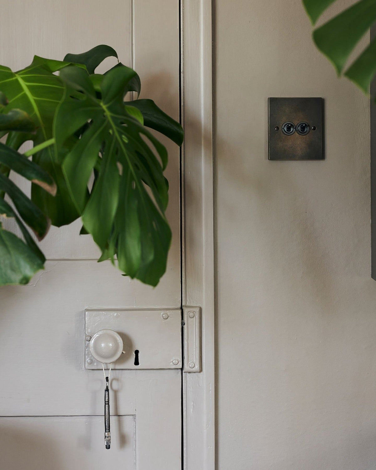 A straight-on view of a 2 gang box toggle switch in a dark oxidised brass finish on a grey wall with a large green monstera leaf on the left. | Oxidised Brass 2 Gang shown TEST