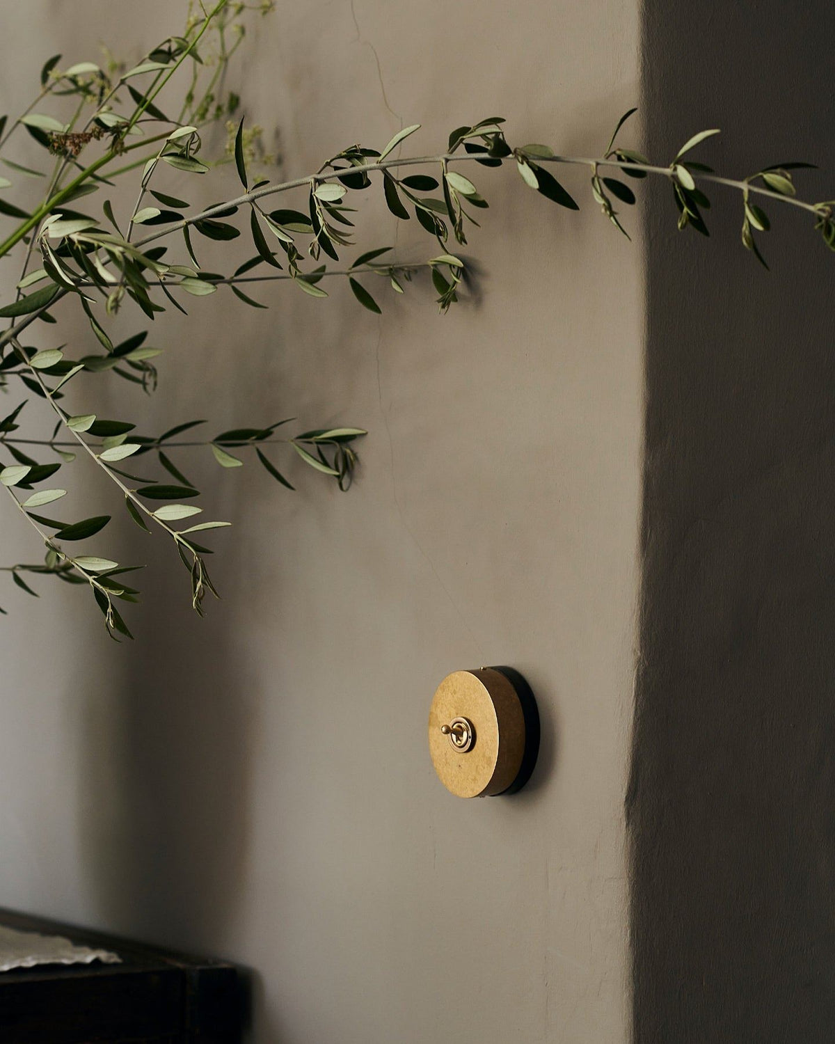A small 1 gang oval-shaped toggle switch in aged brass on a grey wall, olive branches drift into view from a nearby vase. TEST