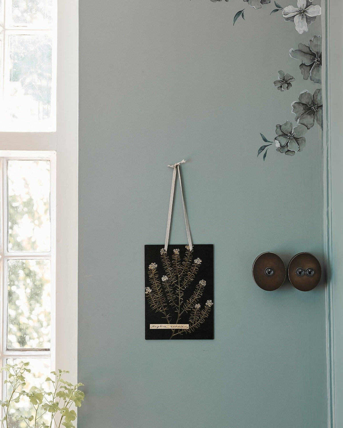 Two oval-shaped toggle switches, a 1 gang and a 2 gang, in a dark oxidised brass finish, on a duck-egg blue wall with botanical oil paintings nearby. TEST