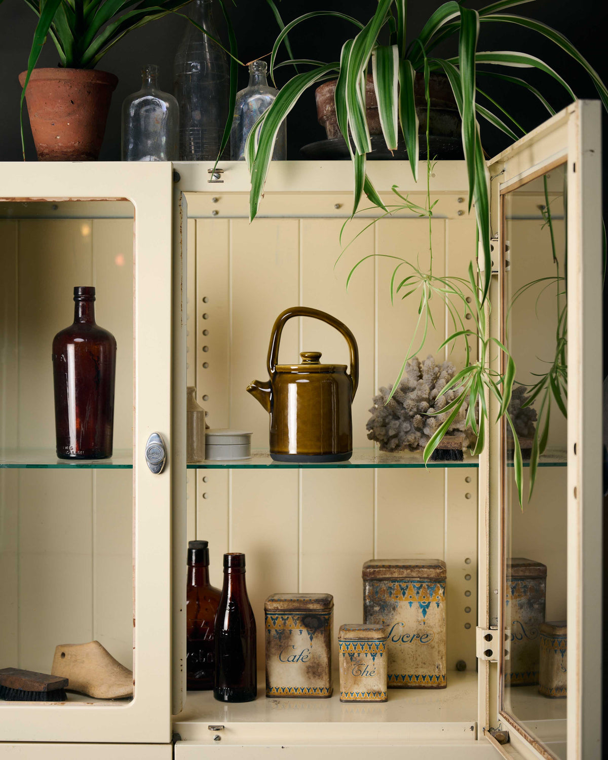 A smooth, glossy Amber Glaze Teapot is the feature of this image, sitting proudly in an antique metal medicine cabinet, surrounded by vintage glass medicine bottles and lush spider plants.