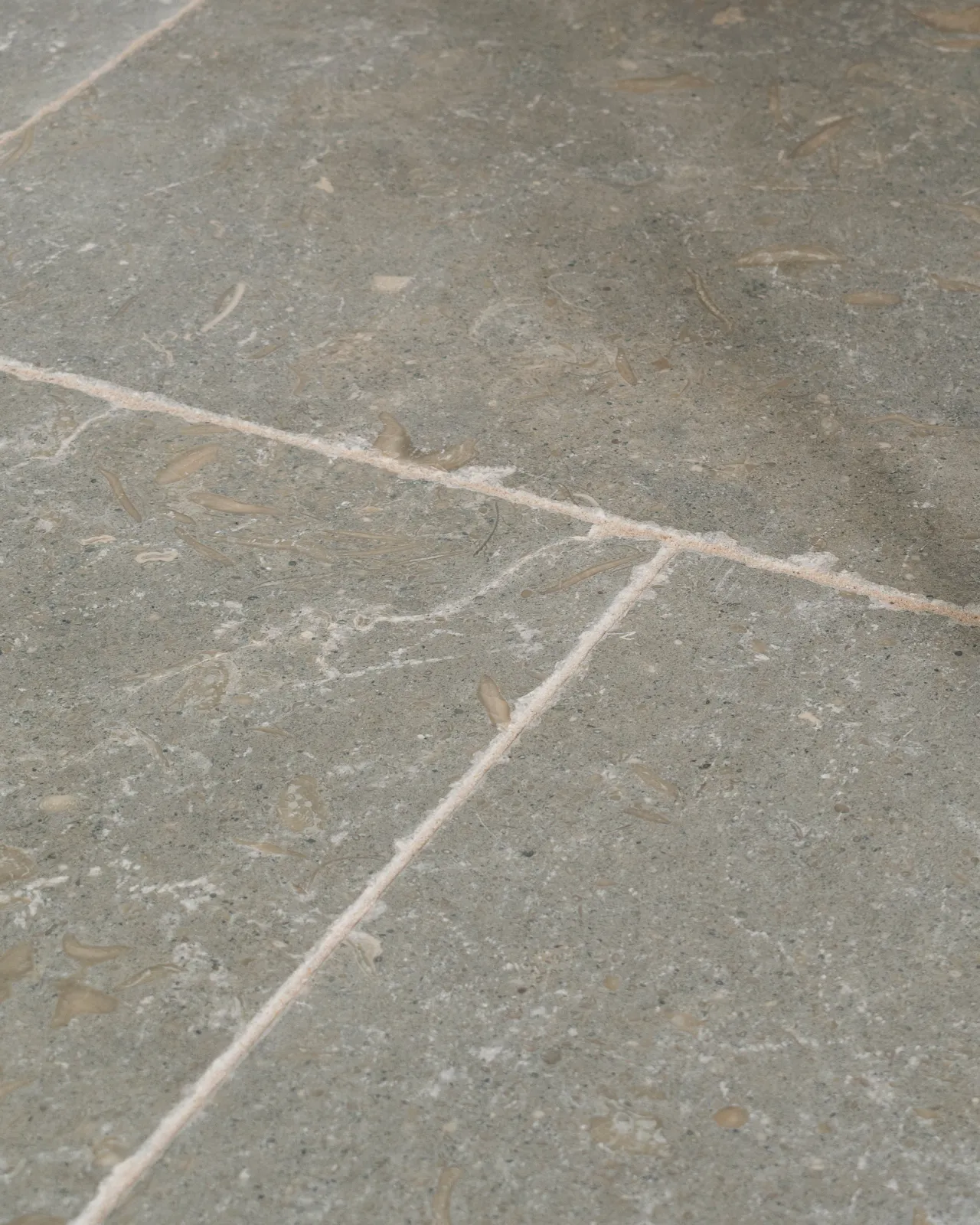 A close-up view of Seagrass Tumbled Limestone flooring.