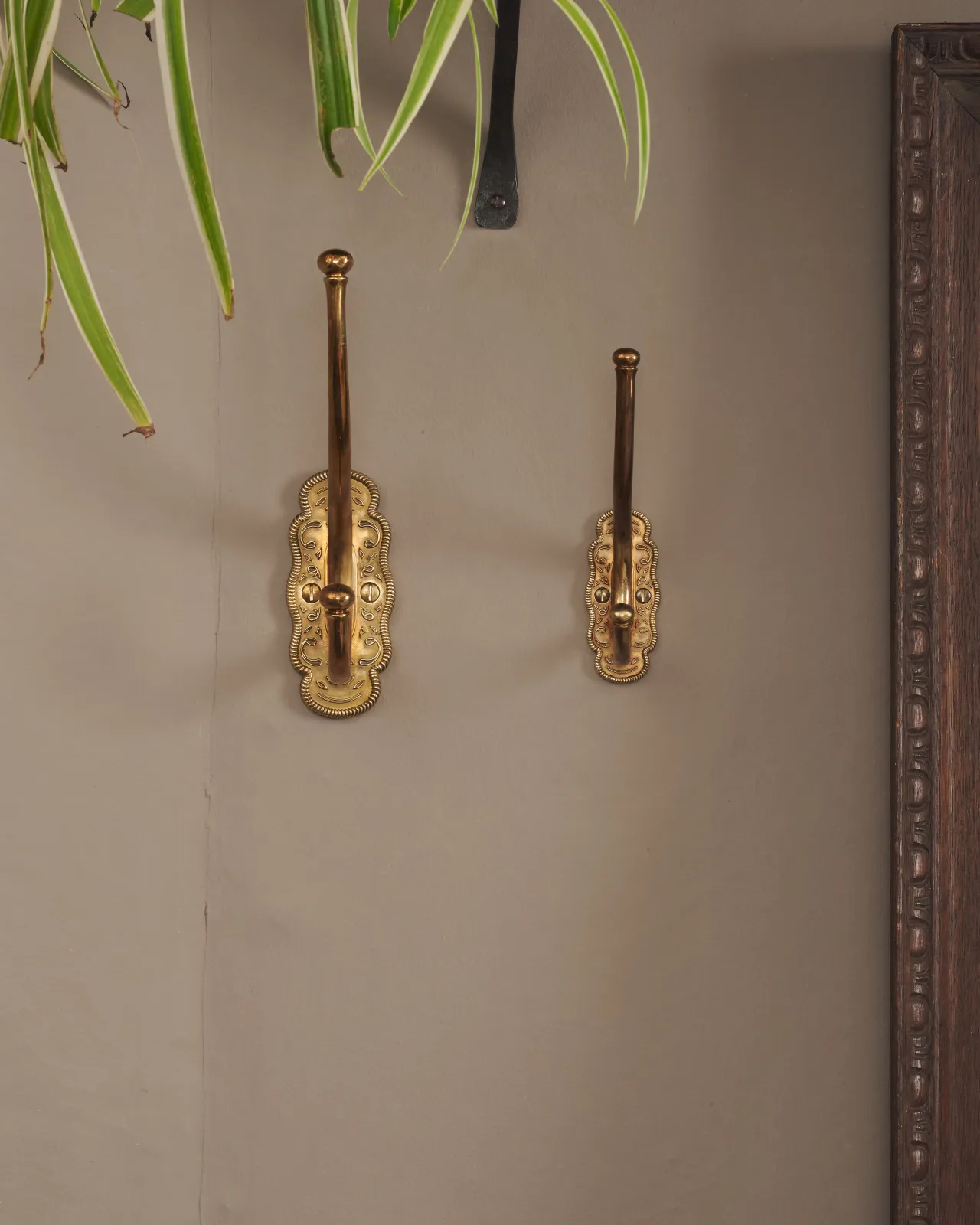 the two parisian cafe coat hook hung on a grey wall, showing the size difference.